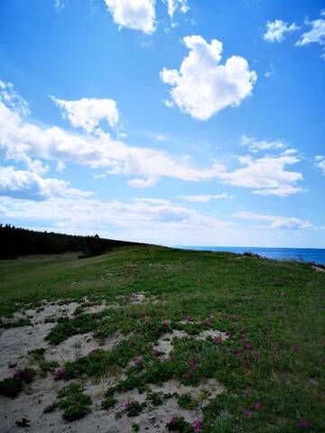 Фото номера Номер-студио с балконом Апартаменты Lovely little place called Home г. Юодкранте 52