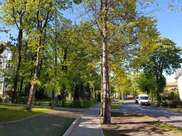Фото номера Номер-студио с балконом Апартаменты Lovely little place called Home г. Юодкранте 20